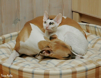 mori & ida